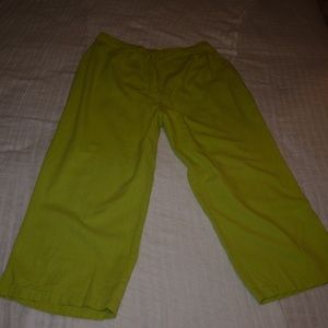 Apple Green Passports Capris 18W #1026